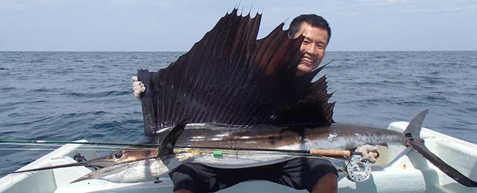 Sailfish on Fly